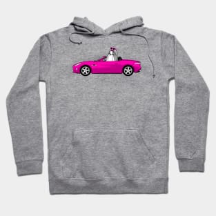 Dog and Car SHIHTZU Hoodie